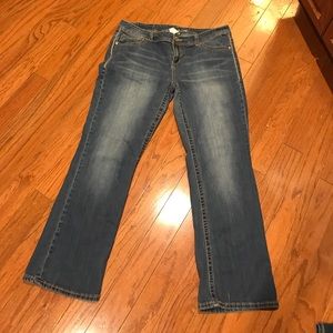 Maurices bootcut jeans